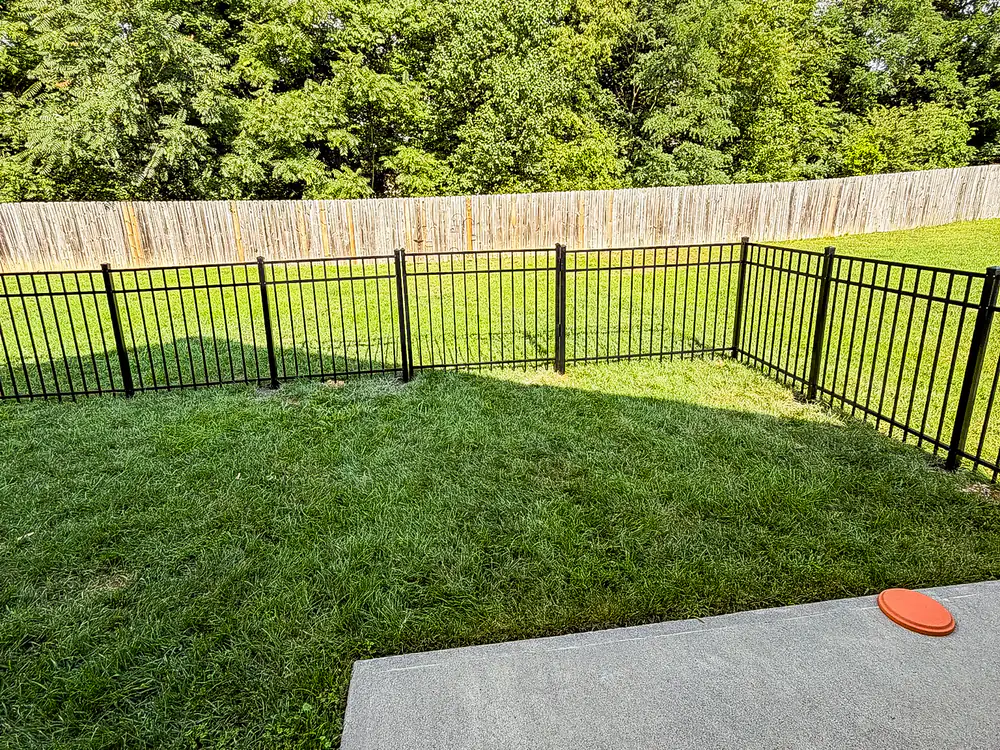 Black classic aluminum fence along a property line